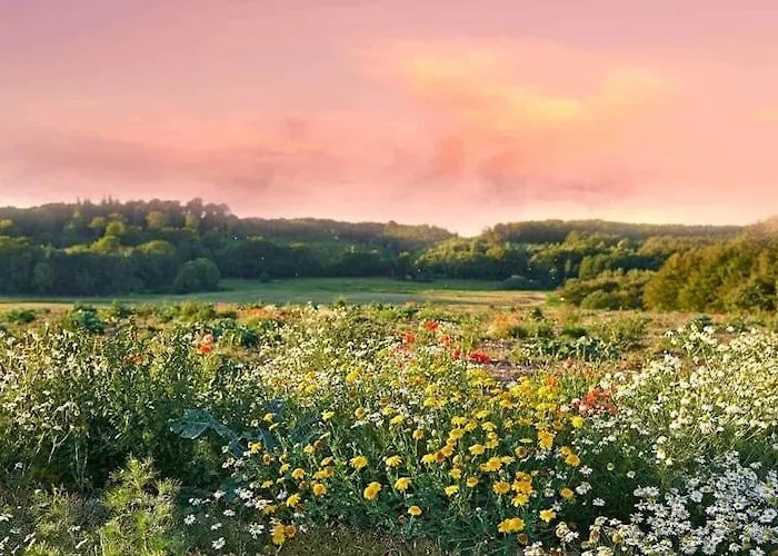 Lakeside With Private Garden *